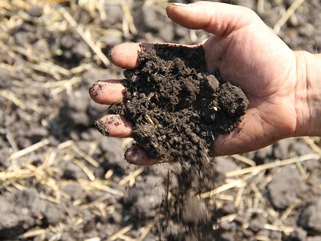 The World Soil Day campaign aims to connect people with soils and raise awareness on their critical importance in our lives. (DTN file photo by Elaine Shein) 